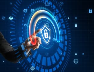 Website design and development